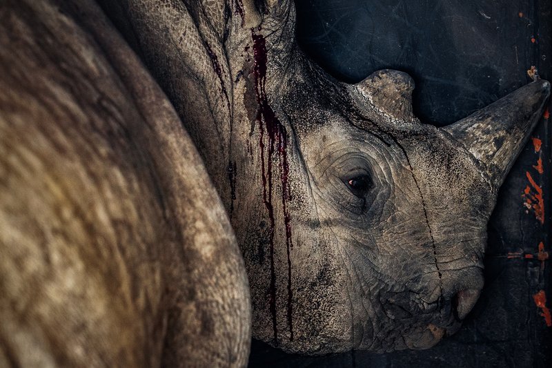 bee98ab7-3251-44d4-a08d-db5489c54a12