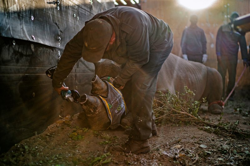 83bd62ff-c88b-4982-9f6b-32bdc51912a4