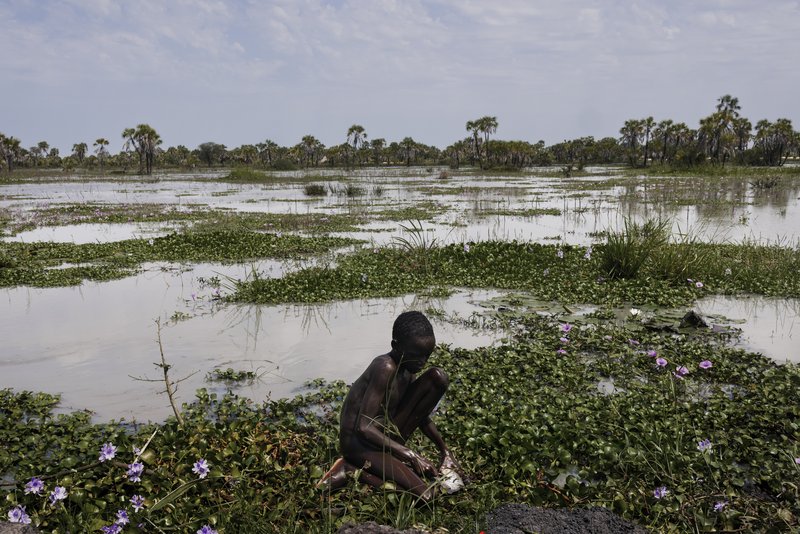 8a293fcd-b844-402f-9f99-3e8c1eb56d2b